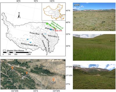 Soil Macropores Affect the Plant Biomass of Alpine Grassland on the Northeastern Tibetan Plateau